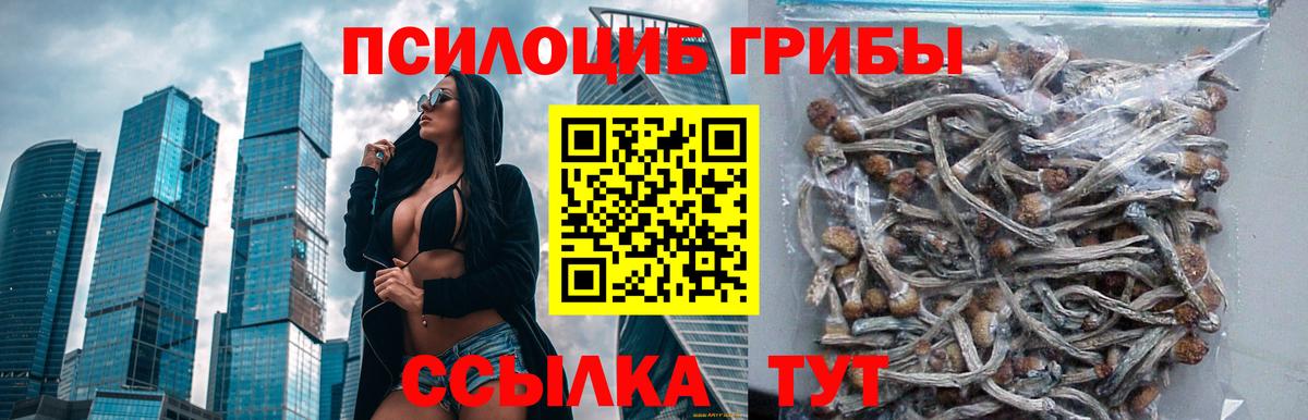 Ковров  Галлюциногенные грибы мицелий  Вход с VPN 